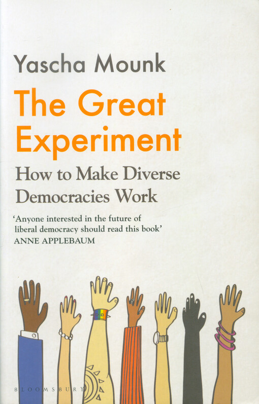 The great experiment : how to make diverse democracies work