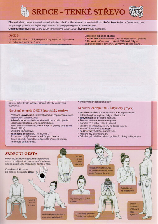 Vitalita. I., Orientální diagnostika