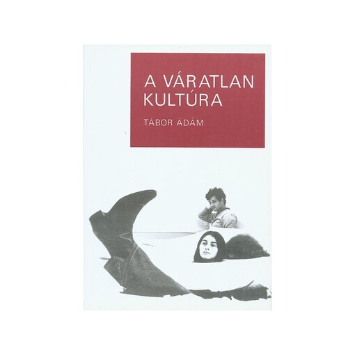 A váratlan kultúra :esszék a magyar neoavantgárd irodalomról és művészetről