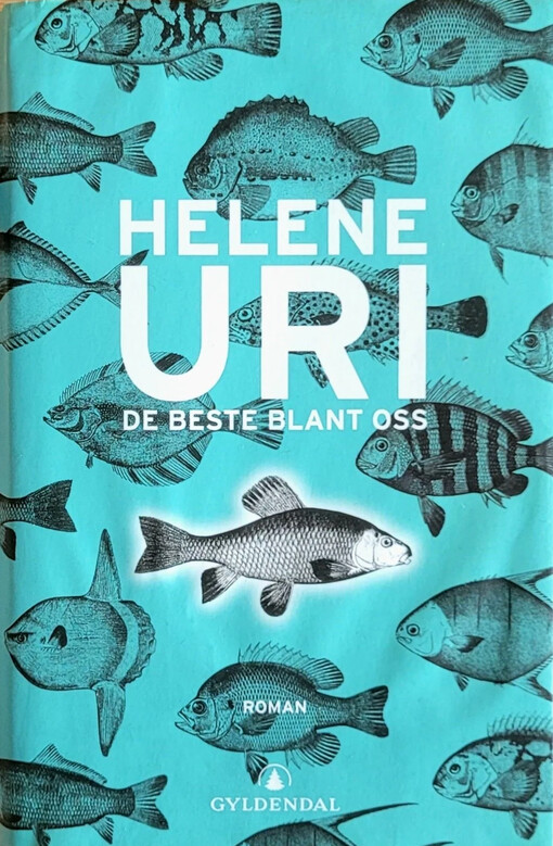 De beste blant oss :roman