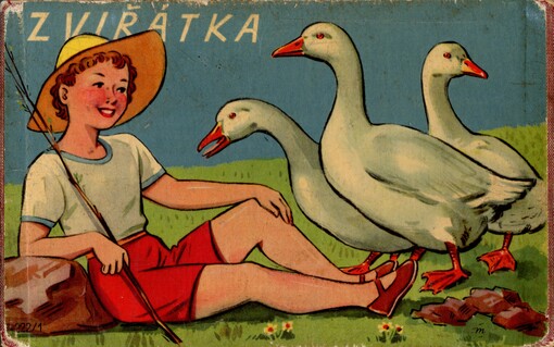 Zviřátka