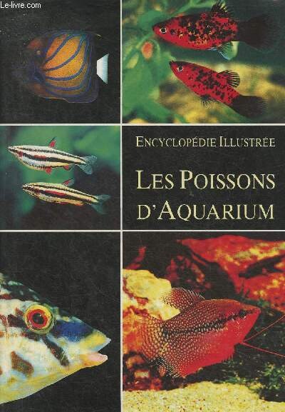 Les poissons d'aquarium