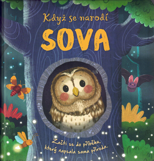 Když se narodí sova