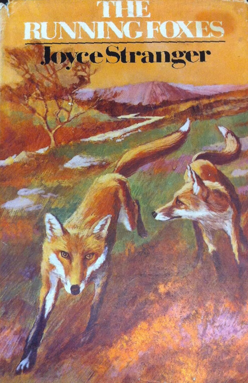 The running foxes