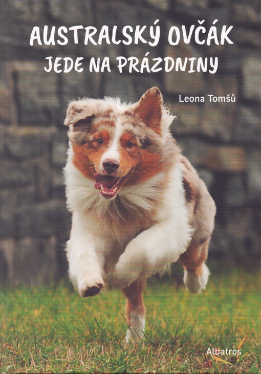 Australský ovčák jede na prázdniny
