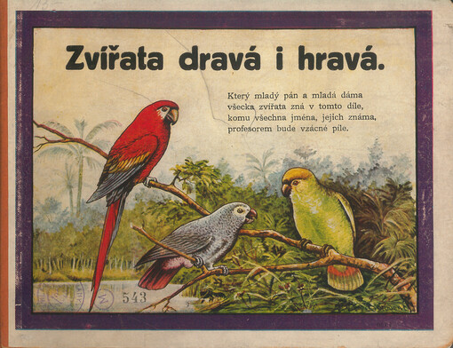 Zvířata dravá i hravá