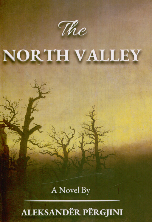 The north valley : a novel
