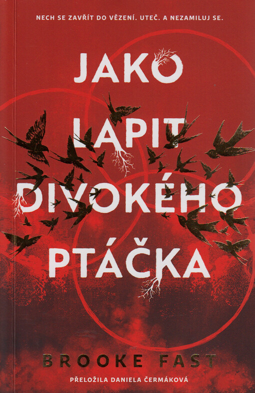 Jako lapit divokého ptáčka