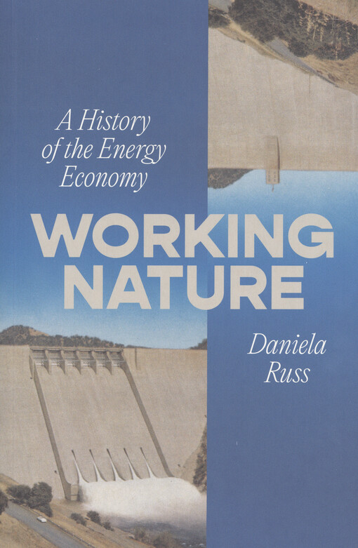 Working nature : a history of the energy economy