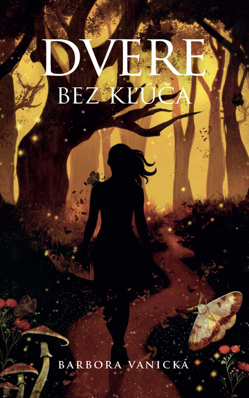 Dvere bez kľúča