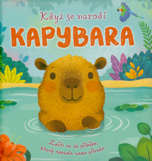 Když se narodí kapybara