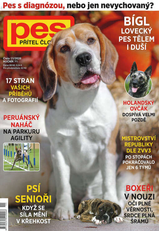 Pes přítel člověka : časopis pro chov a výcvik psů všech plemen