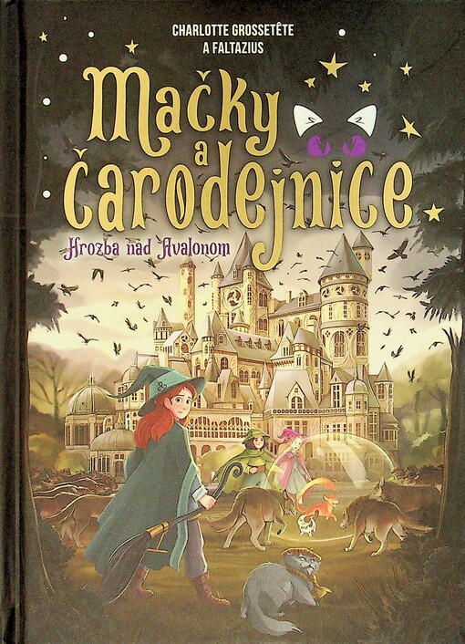 ISBN 9788057504870