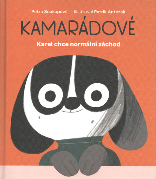 Kamarádové