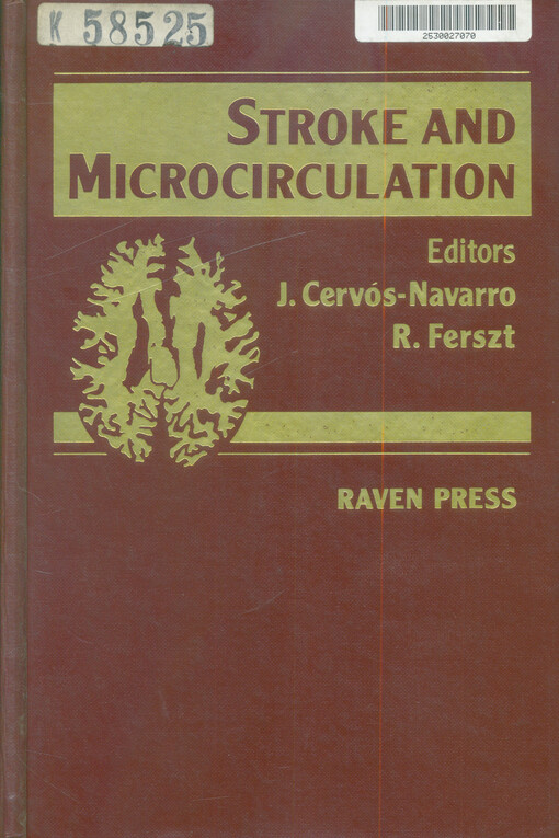 Stroke and microcirculation