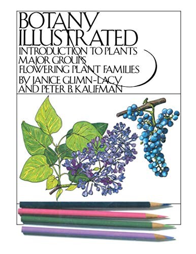 Botany illustrated :introduction to plant major groups, flowering plant families
