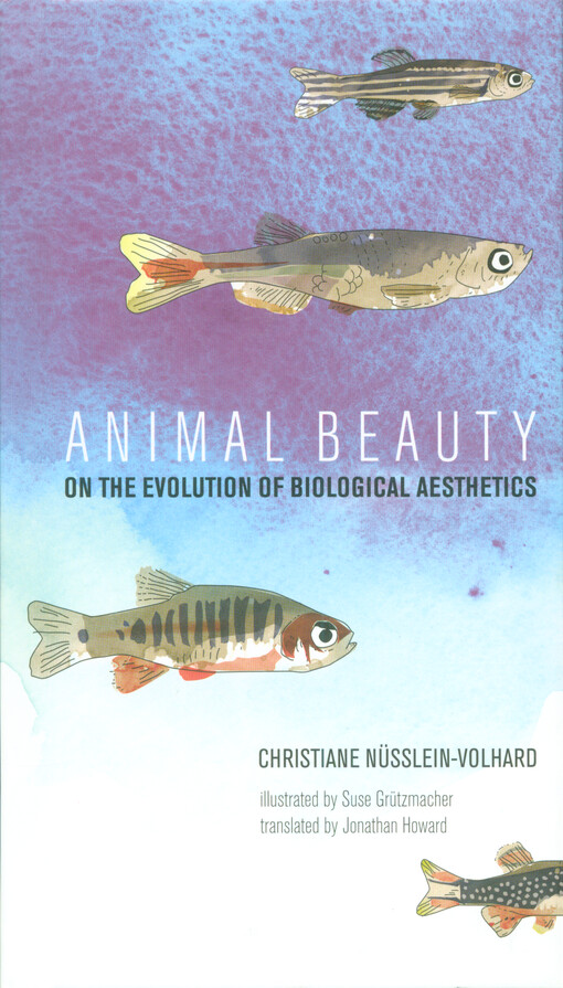 Animal beauty : on the evolution of biological aesthetics