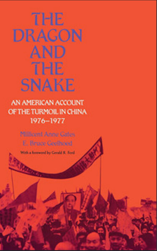 The dragon & the snake :