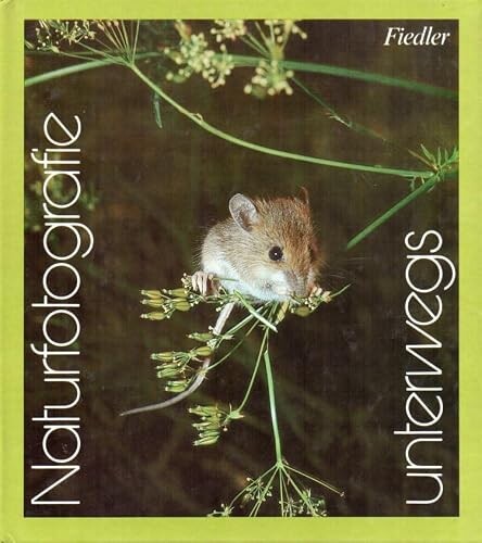 Naturfotografie unterwegs