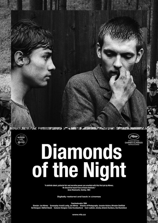 Diamonds of the night