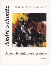 Trochu deště mezi zuby : výbor z básnického díla 1973-1998 = Un peu de pluie entre les dents : choix de poèmes 1973-1998