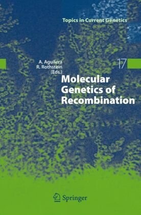 Molecular Genetics of Recombination (Topics in Current Genetics)