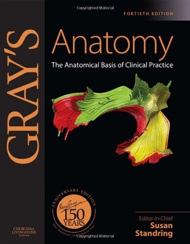 Gray's anatomy : the anatomical basis of clinical practice