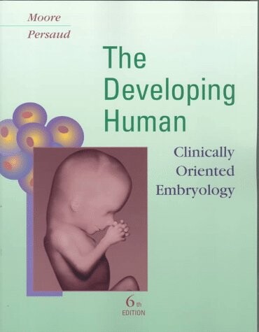 The developing human