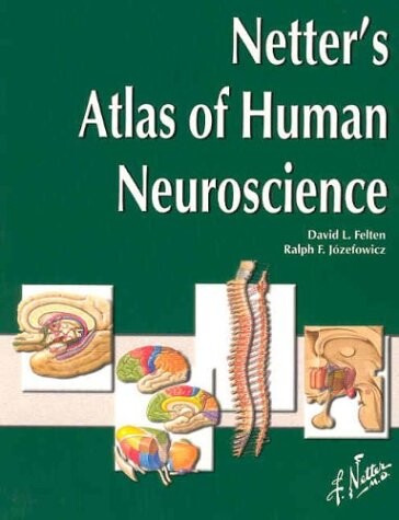Netter's atlas of human neuroscience