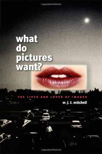 What do pictures want? : the lives and loves of images