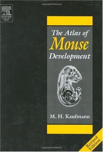 The Atlas of Mouse Development