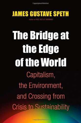 The bridge at the edge of the world :capitalism, the environment, and crossing from crisis to sustainability