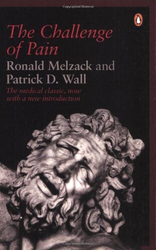 The challenge of pain