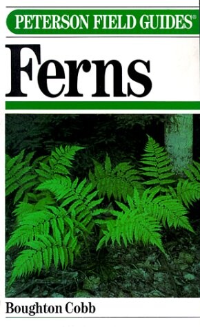 A Field Guide to Ferns and Their Related Families Northeastern and Central North America With a Section on Species Also Found in British Isle and Western Europe (Peterson Field Guides)