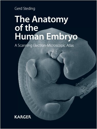 The Anatomy of the Human Embyo: A Scanning Electron-Microscopic Atlas