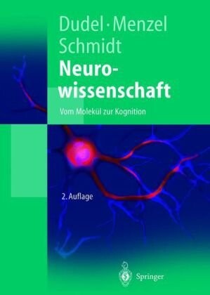 Neurowissenschaft :vom Molekül zur Kognition