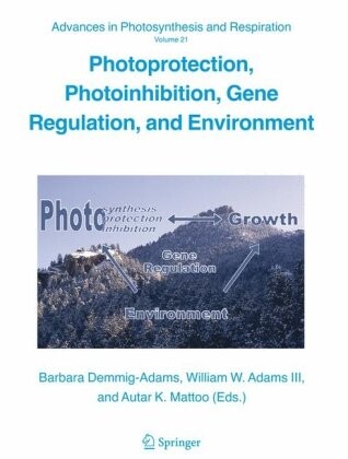 Photoprotection, photoinhibition, gene regulation, and environment