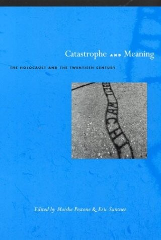 Catastrophe and meaning :the holocaust and the twentieth century