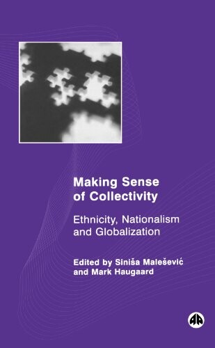 Making sense of collectivity : ethnicity, nationalism and globalisation