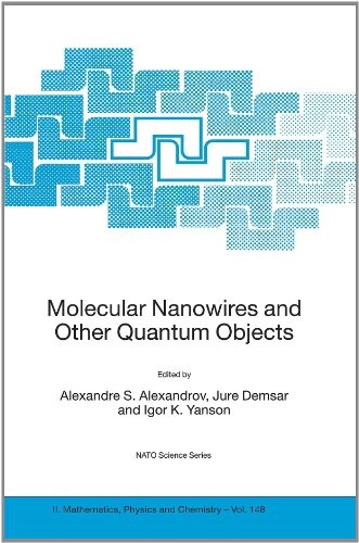 Molecular nanowires and other quantum objects