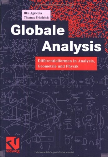 Globale Analysis. Differentialformen in Analysis, Geometrie und Feldtheorie.