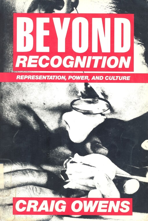 Beyond recognition : representation, power, and culture