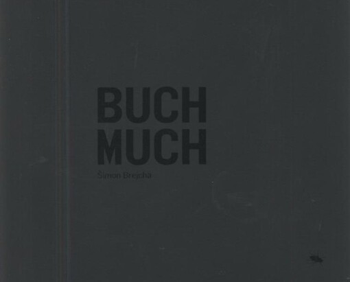 Šimon Brejcha : buch much : [Oblastní galerie v Liberci, 17.6.-19.9.2010, Letohrádek Ostrov, pobočka Galerie umění Karlovy Vary, 9.9.-31.10.2010