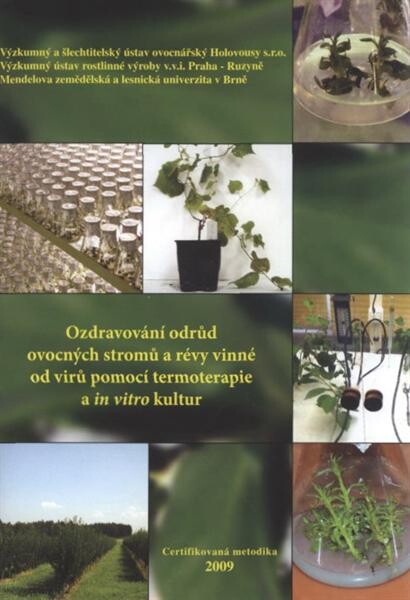 Ozdravování odrůd ovocných stromů a révy vinné od virů pomocí termoterapie a in vitro kultur : certifikovaná metodika