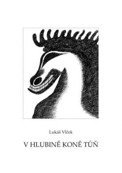 V hlubině koně tůň : podněty z let 1991-1997