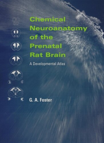 Chemical Neuroanatomy of the Prenatal Rat Brain: A Developmental Atlas