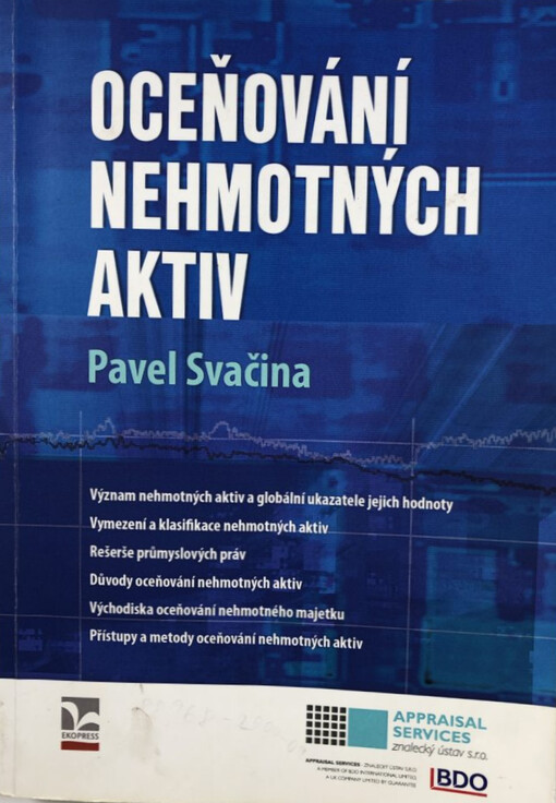 Oceňování nehmotných aktiv