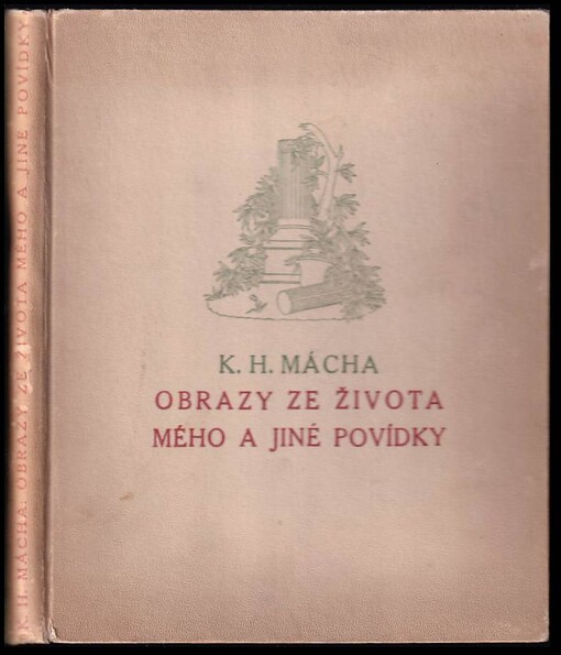 Obraz ze života mého
