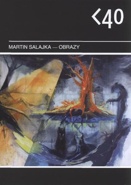 Martin Salajka : obrazy : [GVUN - kabinet, kresby, grafiky a fotografie, 30.6.-25.7.2010