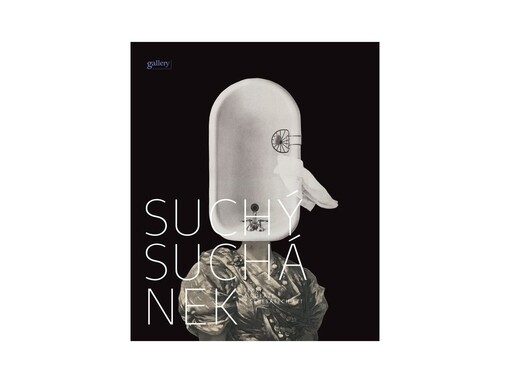 Texty a koláže z šedesátých let